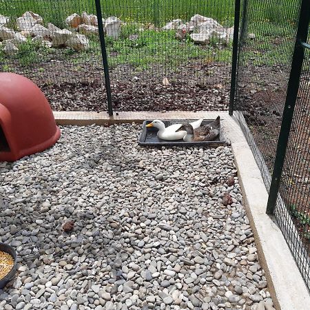 マルティナ・フランカ Trullo Della Rosaヴィラ エクステリア 写真